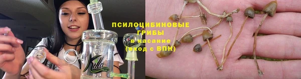 метадон Сатка