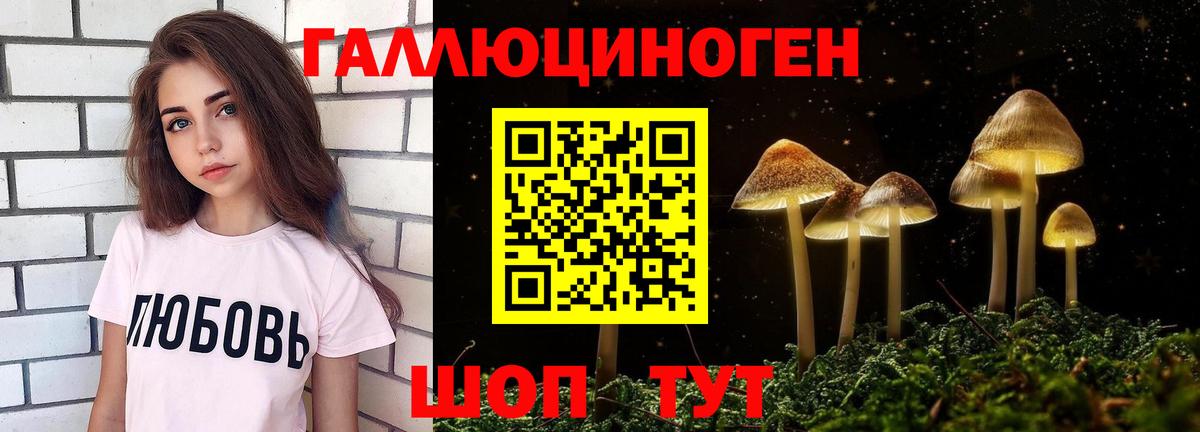 Галлюциногенные грибы MAGIC MUSHROOMS Тутаев
